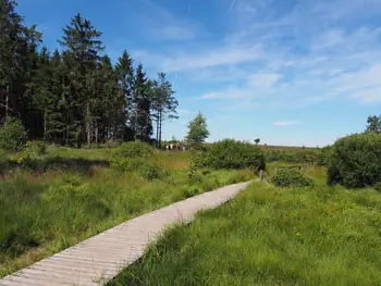 Signal de Botrange (België)